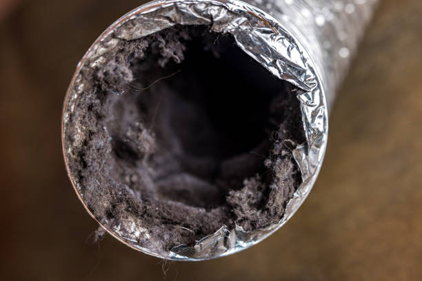 Best HVAC Duct Inspection Services  in Malmstrom Af, MT