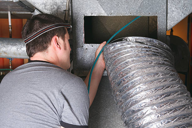 Best Air Duct Mold Removal  in Malmstrom Af, MT
